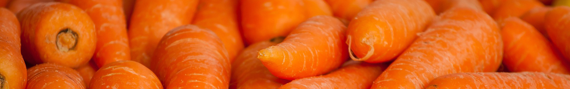 Close up on carrots. Photo.