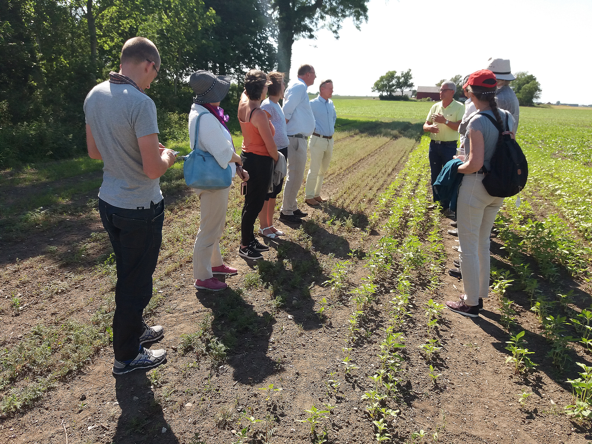 Group of people standing on a field looking at small crops. Photo.