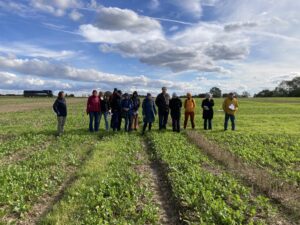 A group of people seen in a distans at a green field. Blue sky with clouds.