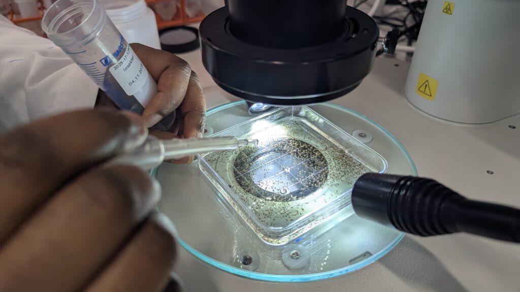 Close-up showing two hands working on a microscope.